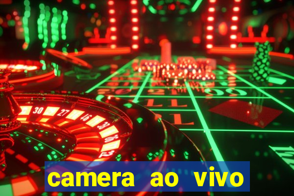 camera ao vivo terminal vila nova cachoeirinha